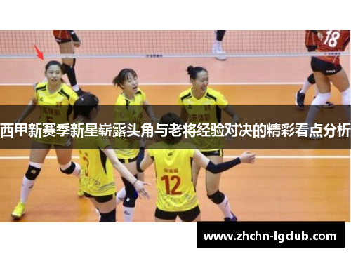 西甲新赛季新星崭露头角与老将经验对决的精彩看点分析